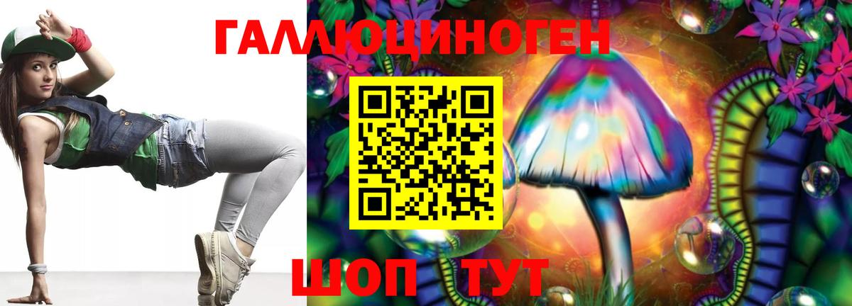 Вязники  Псилоцибиновые грибы Psilocybe  Вход с VPN 
